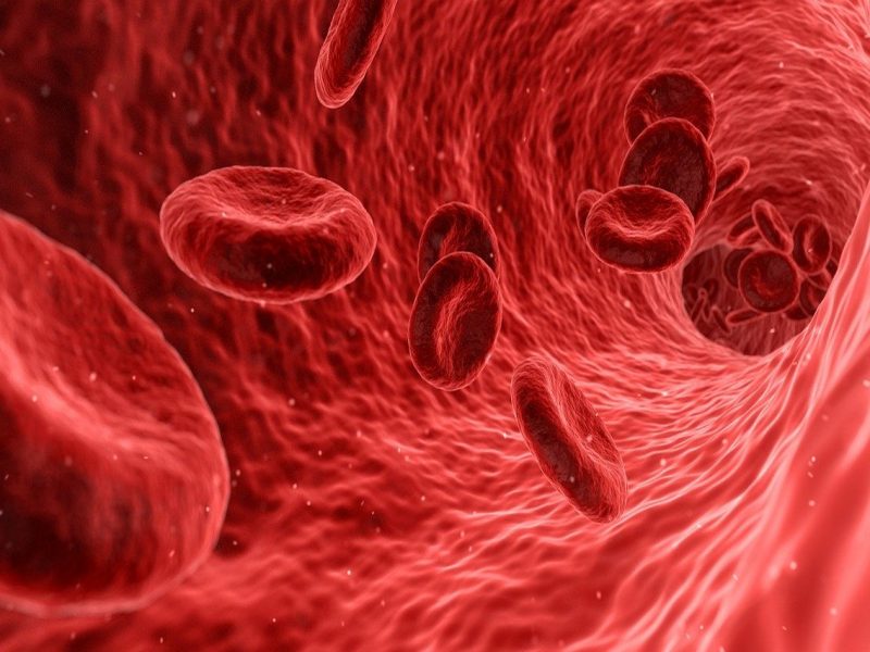 Hemofilia, czyli choroba dotykająca coraz więcej osób na świecie